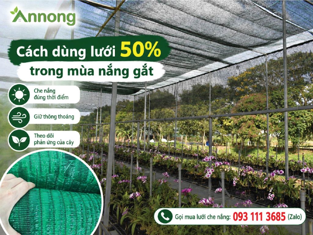 Cách dùng lưới 50% khi trồng cây trong mùa nắng gắt
