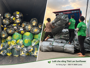Cách nhận biết lưới che nắng thái lan nhập khẩu