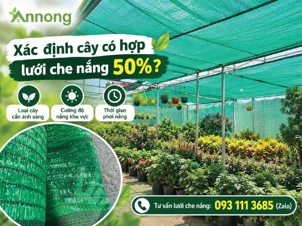 Cách xác định cây có phù hợp với lưới che nắng 50%