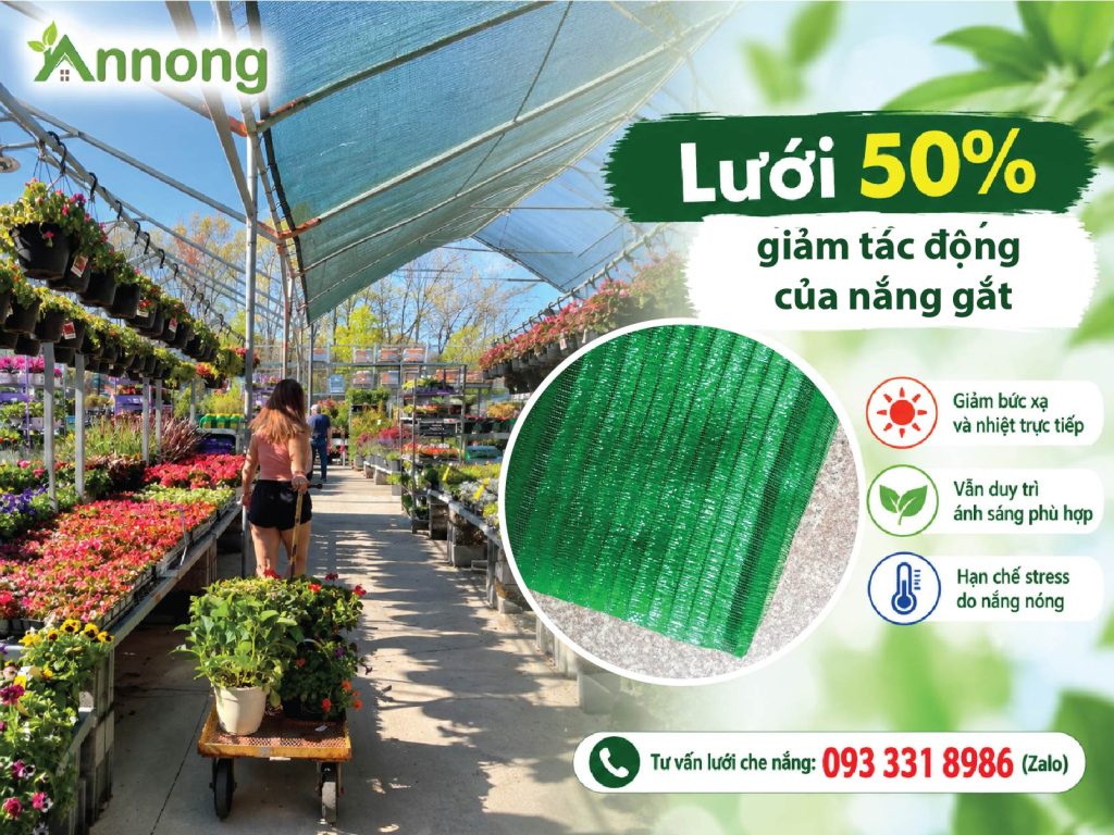 Cây ưa nắng được giảm tác động của nắng mạnh bằng lưới 50%