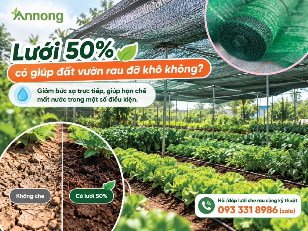 Lưới 50% giúp hạn chế tác động của nắng lên đất vườn rau