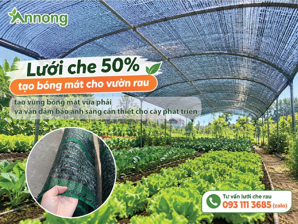 Lưới che 50% tạo bóng mát cho vườn rau