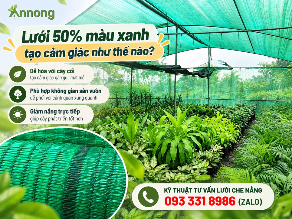 Lưới che nắng 50% màu xanh và đen khác gì? 3 Lưới che nắng 50% màu xanh cho sân vườn