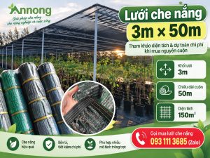 Bảng giá lưới che nắng theo khổ 3m x 50m