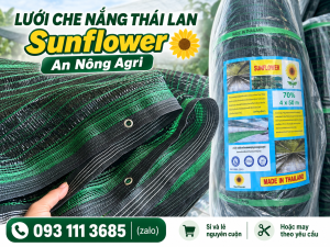 lưới che nắng Thái Lan là gì