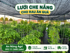 Lưới che nắng trồng rau giúp giảm nắng cho vườn rau