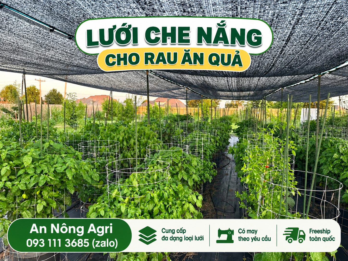 Lưới che nắng trồng rau: cách chọn độ che phù hợp 1 Lưới che nắng trồng rau giúp giảm nắng cho vườn rau
