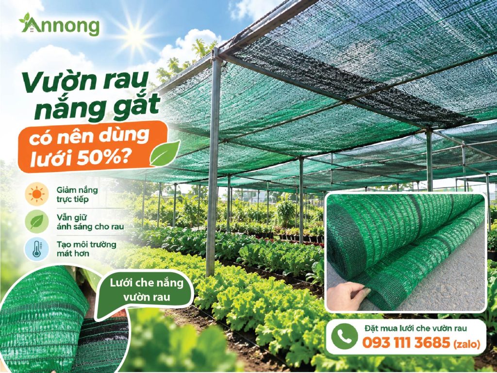 Vườn rau nắng gắt sử dụng lưới che 50%