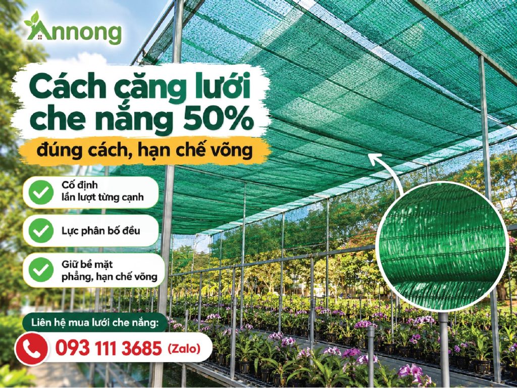 Cách căng lưới che nắng 50% đúng cách, hạn chế võng
