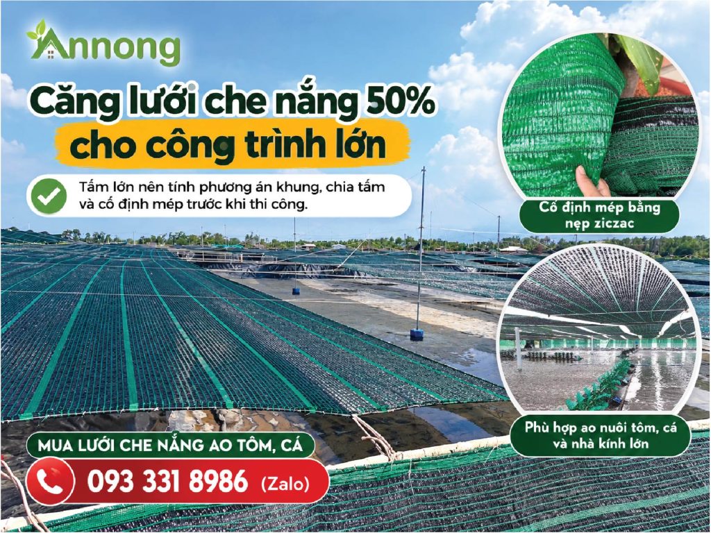 Căng lưới che nắng 50% cho công trình lớn