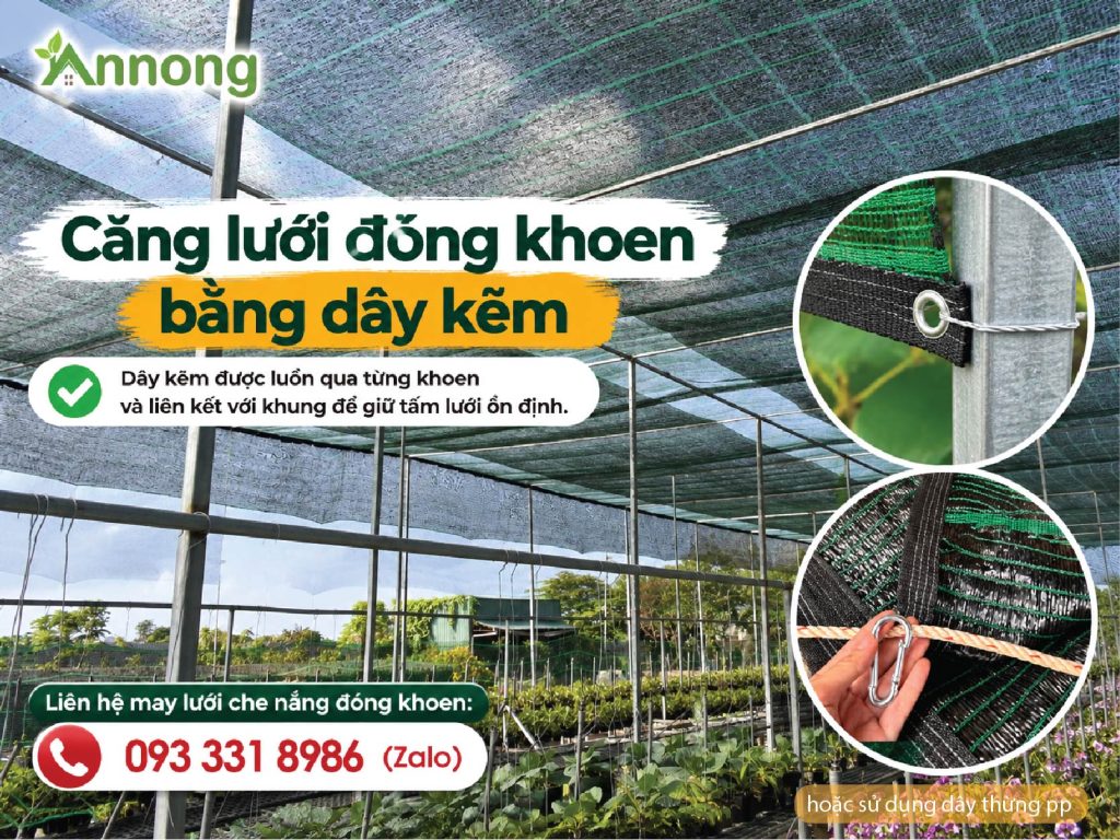 Căng lưới đóng khoen bằng dây kẽm