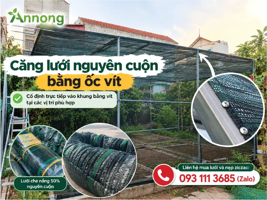 Căng lưới nguyên cuộn bằng ốc vít trên khung